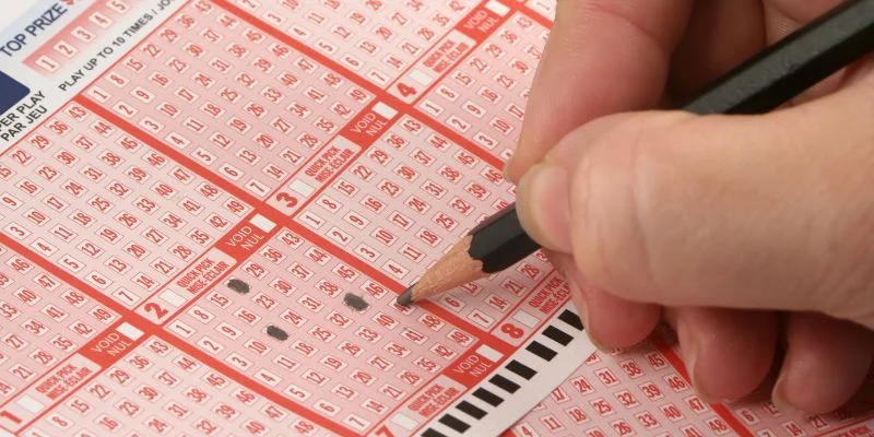 Khái Niệm Lô Bạch Thủ Là Gì?