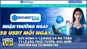 bigbet88 keo truc tuyen - Sức Nóng V-League Và Ma Trận Tỷ Lệ Kèo Trực Tuyến: Góc Nhìn Chuyên Gia Từ Bigbet88